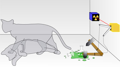 The ‘Schrdinger cat paradox’, one of the most famous thought experiments of the 20th century, involves a radioactive source and a detector linked to a vial of poison.